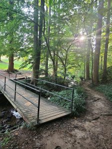 One of the few, remaining groves of trees, at the middle footbridge, in the quickwater section, reminds me of my home state of Maine.